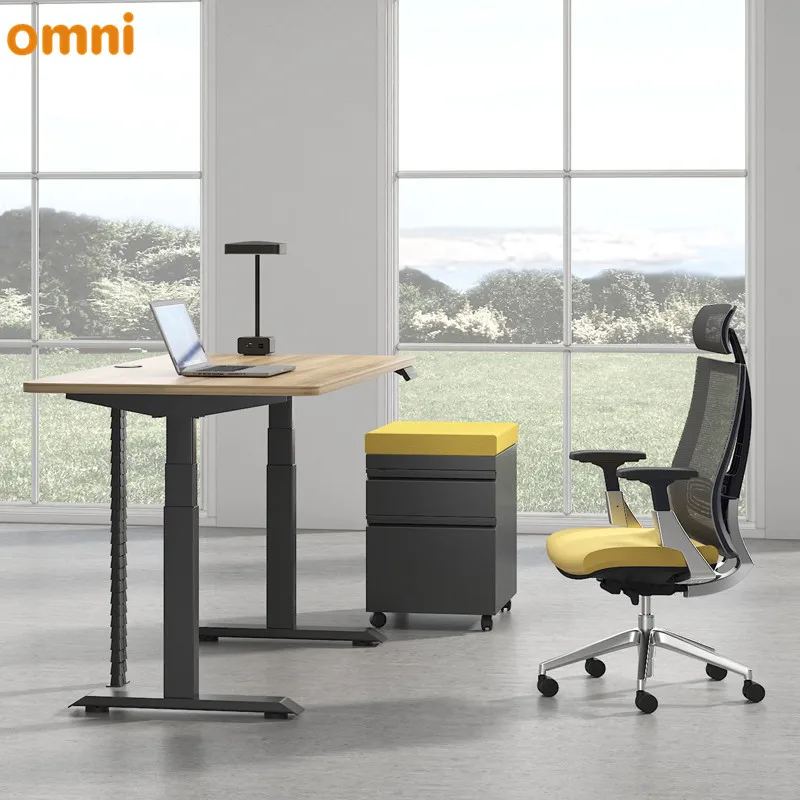 2 Motors 3 Stages Oval/round/rectangular Standing Lifting Desk Table Leg Adjustable Electric