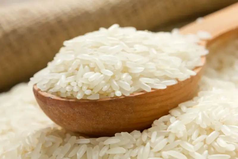 Cheap Price Agriculture Grain Rice White Jasmine Rice Thailand Ready to Eat 100% Thai Rice from Supplier in Thailand
