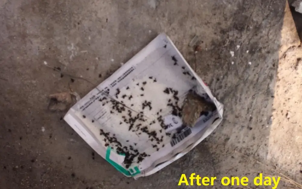 
AGITA 10WG 100g Jar package Fly Control Fly Bait Thiamethoxam add z-tricosene 