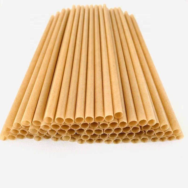 Food Use and Pulp Moulding Process Type edible straws