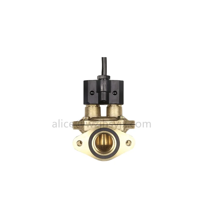 LPG AC220V& DC12V/24V Quality and Convenient Oil solenoid Valve Fuel solenoid valve Bidirectional solenoid valve