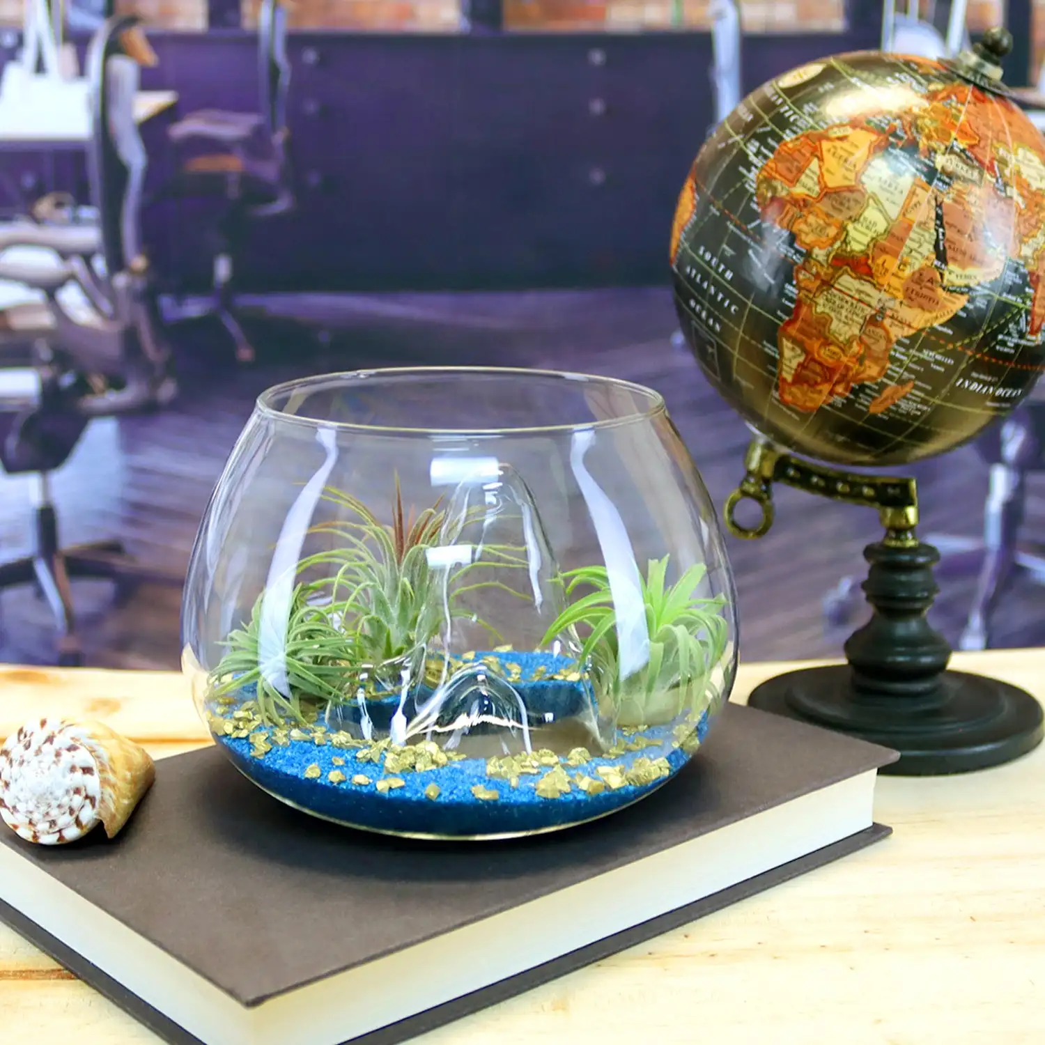 OEM Treasure Island Air Plant Terrarium Terrario De Plantas De Vidrio Mini Terrarium Kit