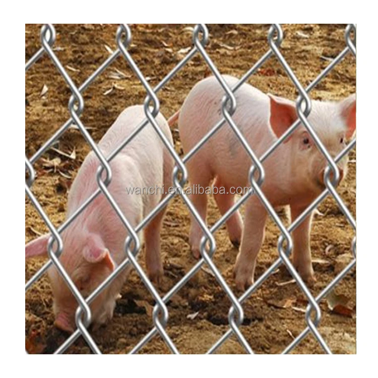 Canada 9 Gauge 3mm Wire Diamond Wire Fencing Cyclone Wire 50x50mm 60x60mm Mesh Size Chain Link Mesh