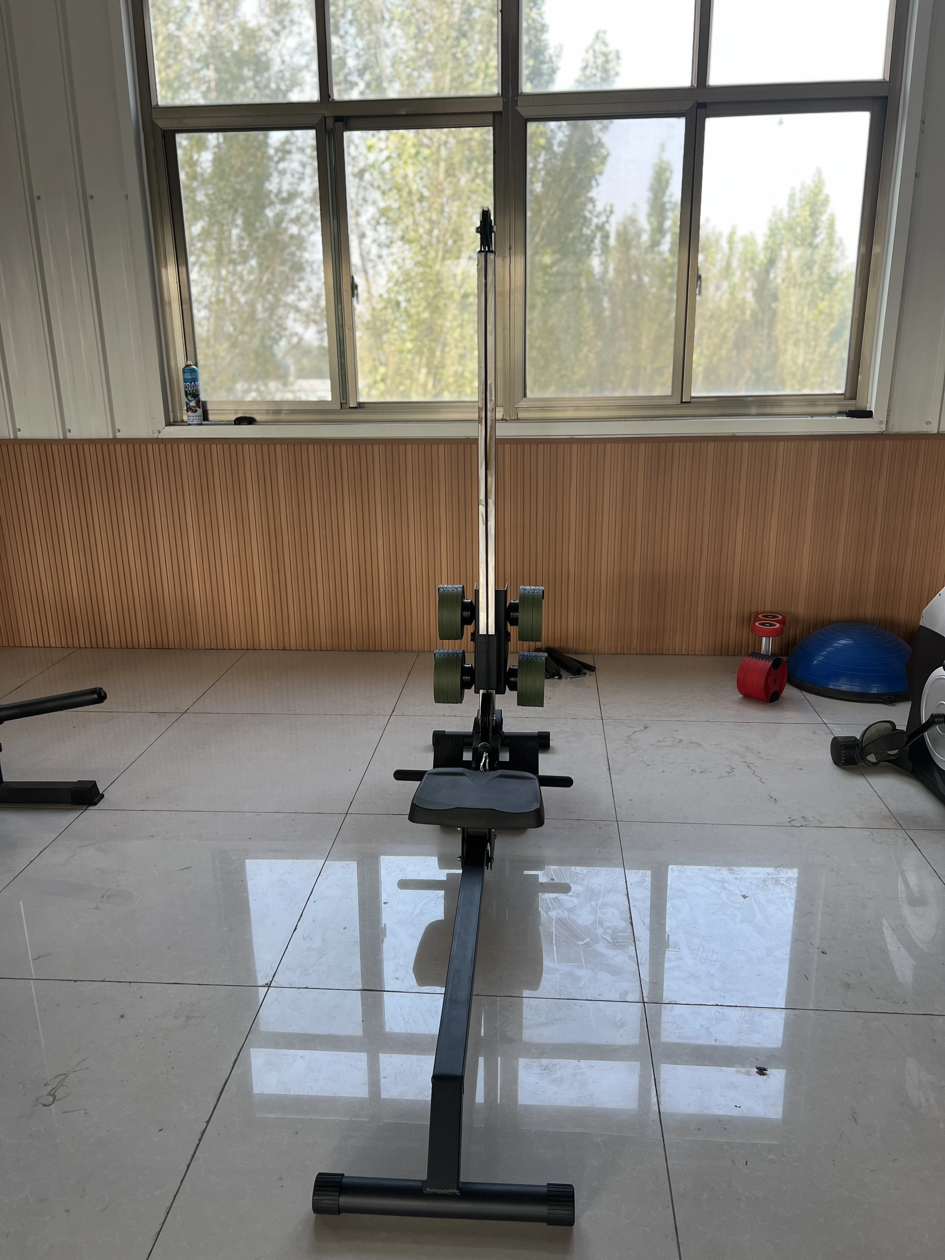 New Design Gym Equipment Fitnesss Dumbbells Rowing Machine for Home Exercise