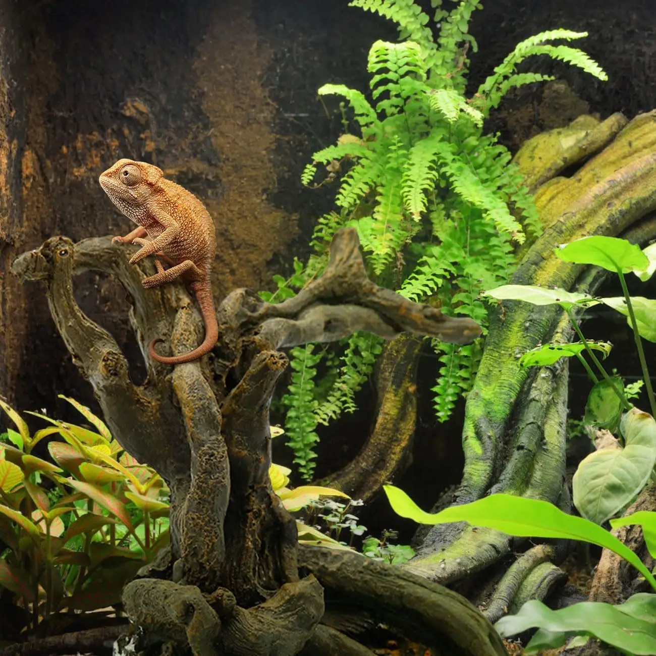 Hermit Crab Climbing Toy Aquarium Decorations Ornament Aquarium Betta Fish Hideout Caves for Reptile Lizard Newt Hermit Crab