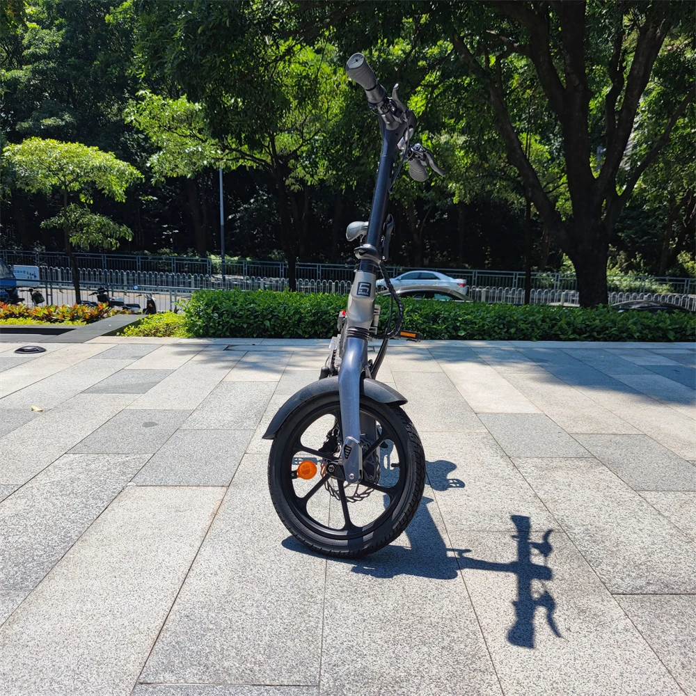 Women Lady e Bike Eu Warehouse Off Road Small Fat Tire 20inch Folding Battery 250w e Bike