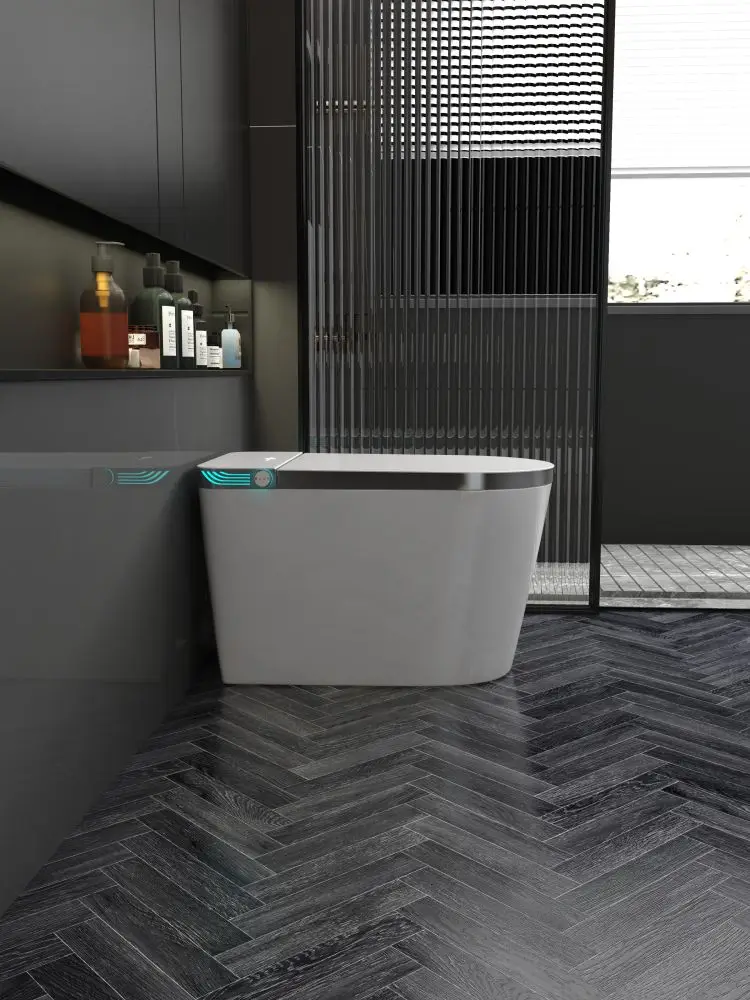 New Arrival Buttocks Washing toilet smart