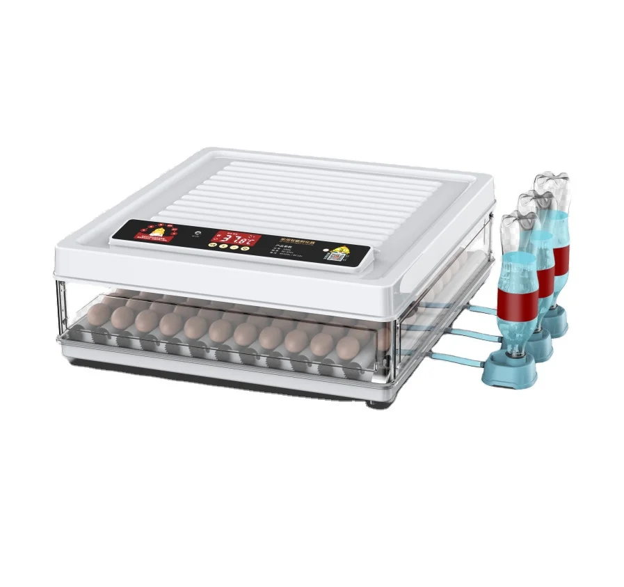Dual power supply 12V egg incubator for battery power 48 eggs