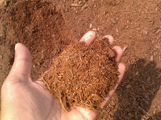 WHOLESALE HIGH ABSORPTION COCONUT COIR PITH 11 lb  BLOCKS  FOR GARDEN FARMING AGRICULTURE INDIA ORIGIN