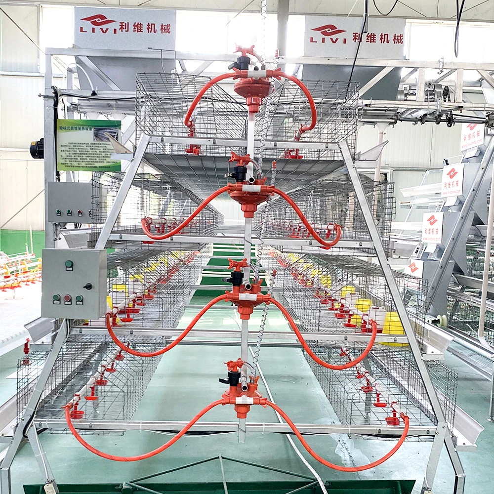 Nigeria Broiler Cage Broiler Brooding Battery Chicken Layer Cage