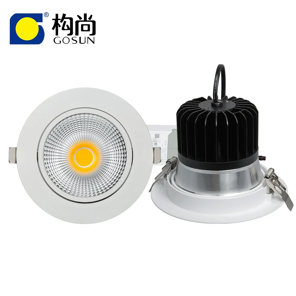 ceiling light modern Super Brightness 20W/30W/40W COB LED downlight