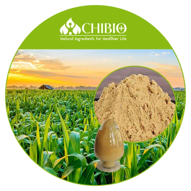 Bulk price Agricultural Grade Chitosan Oligosaccharide for Fertilizer
