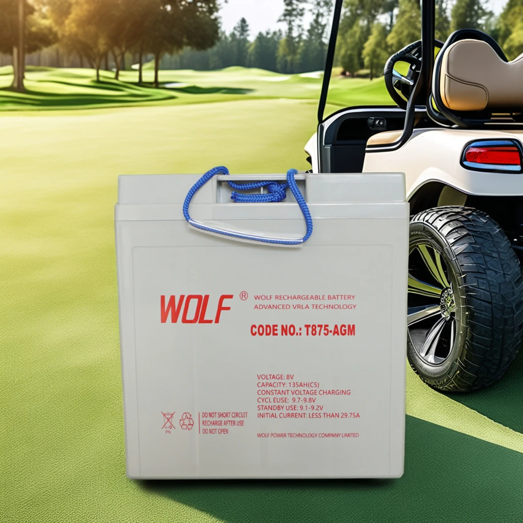 T875 Lead Acid Trojan Battery 8V 170AH Deep Cycle AGM Gel Lead Acid Battery Pack For LVTONG Golf Buggy Carts
