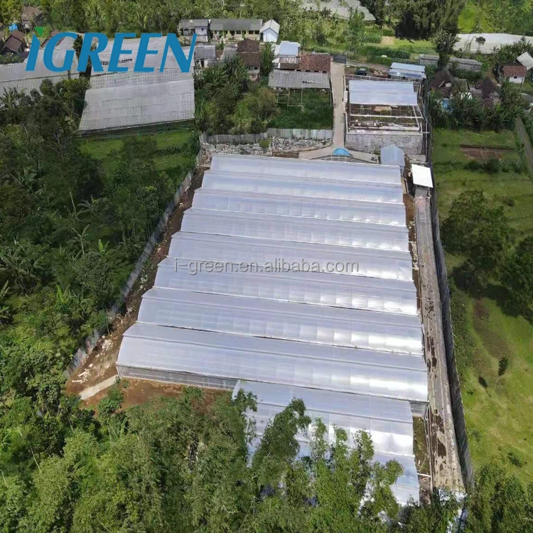 greenhouses from china greenhouse material hydroponic greenhouse for sale