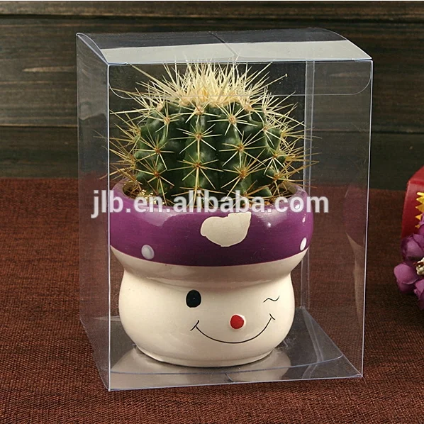 Hot Sale Custom Foldable Clear PET Transparent Box Hard Plastic Packaging