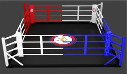 International Standard IBF Quality Used Inflatable Boxing Fighting Ring for Sales