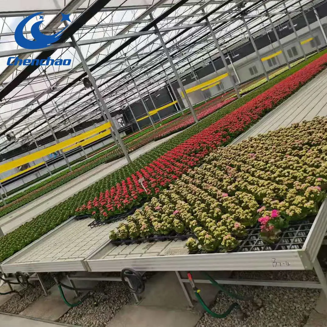 Ebb and Flow Table Low Price with Hand Wheel Used in Greenhouse