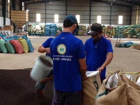 GROUND BLACK PEPPER WITH HIGH QUALITY FROM VIETNAM ( Whatsapp: +84975262928, Helen)