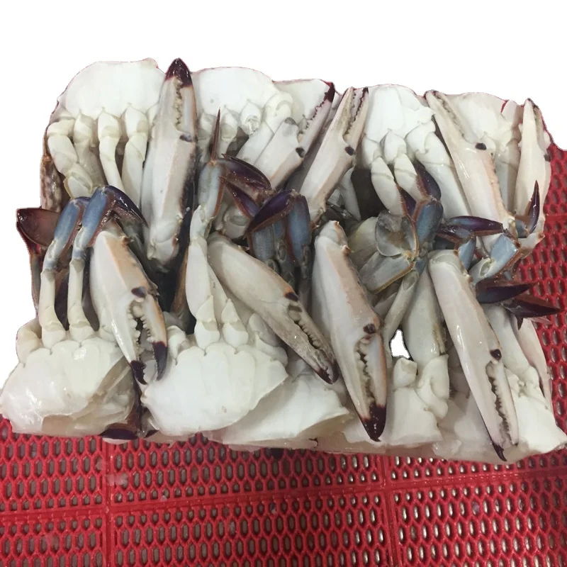 healthy big size many other species exports crab fat Frozen Crab raw material block in stock