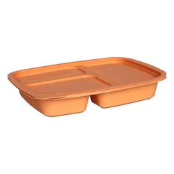 Eco Friendly Disposable 10Inch 3 Compartment Biodegradable Cornstarch Food Containers Color Lunch Box With Lid