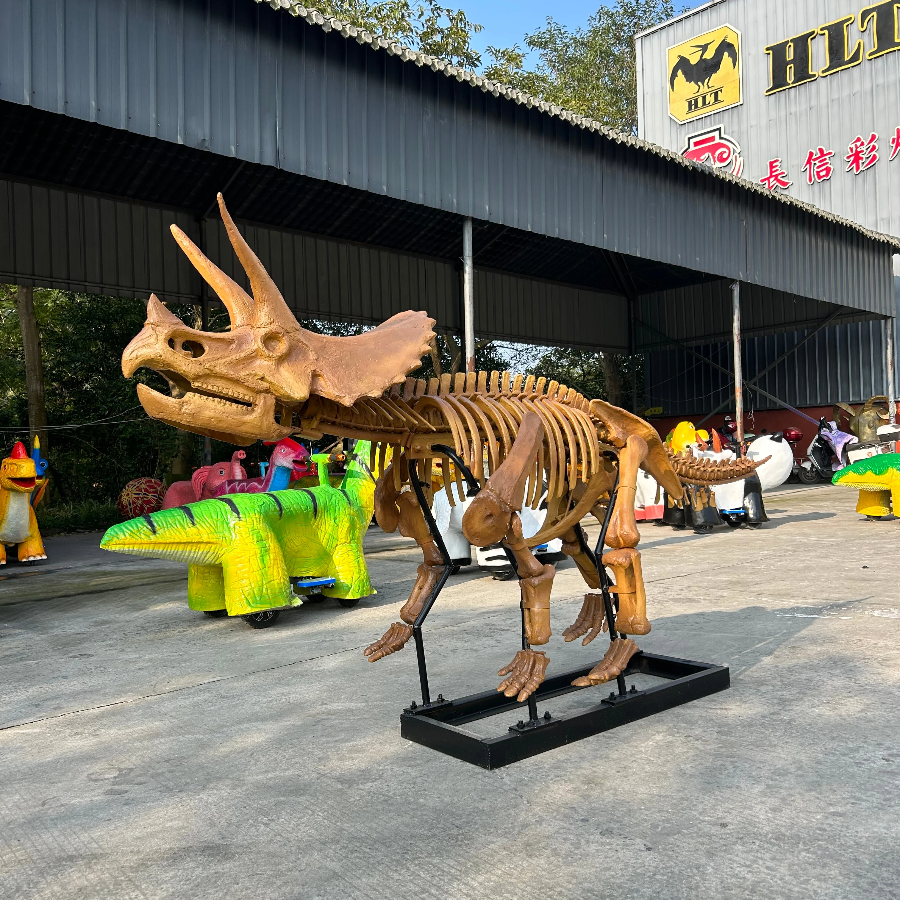 High Quality Custom Large Triceratops Resin Skeleton Model Museum Ornaments Teaching Props Indoor Garden Use Dinosaur Skeleton