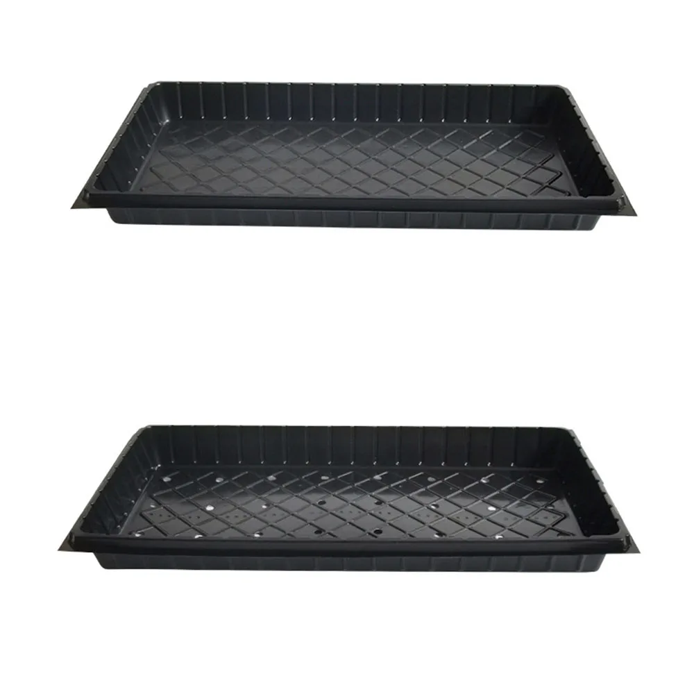 Hot selling banana seeds grow, germinate, and raise seedlings on plastic suction trays for planting plastic plant tray