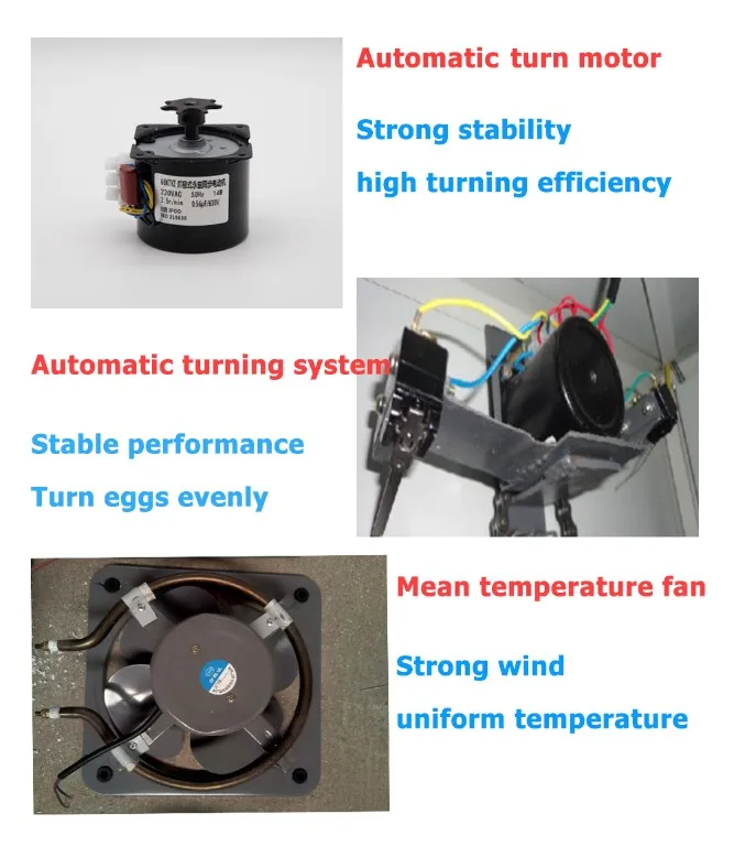 Holding 1000 Eggs Poultry Farm Incubator Fully Automatic Chicken Egg Incubator