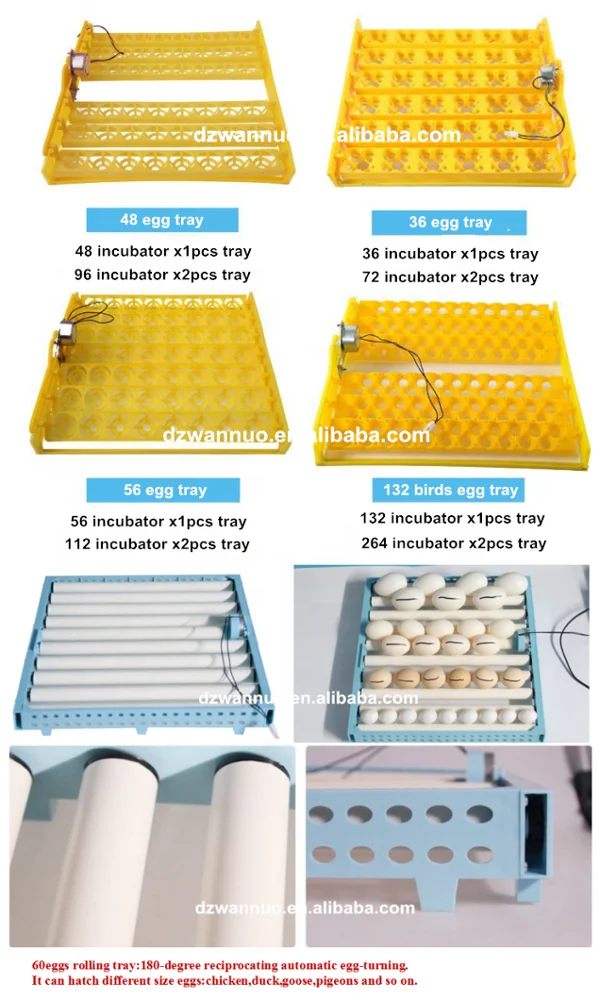 Mini Automatic Egg Incubator 112 Eggs Incubator 12 Volt Battery Egg Hatching Machine Price