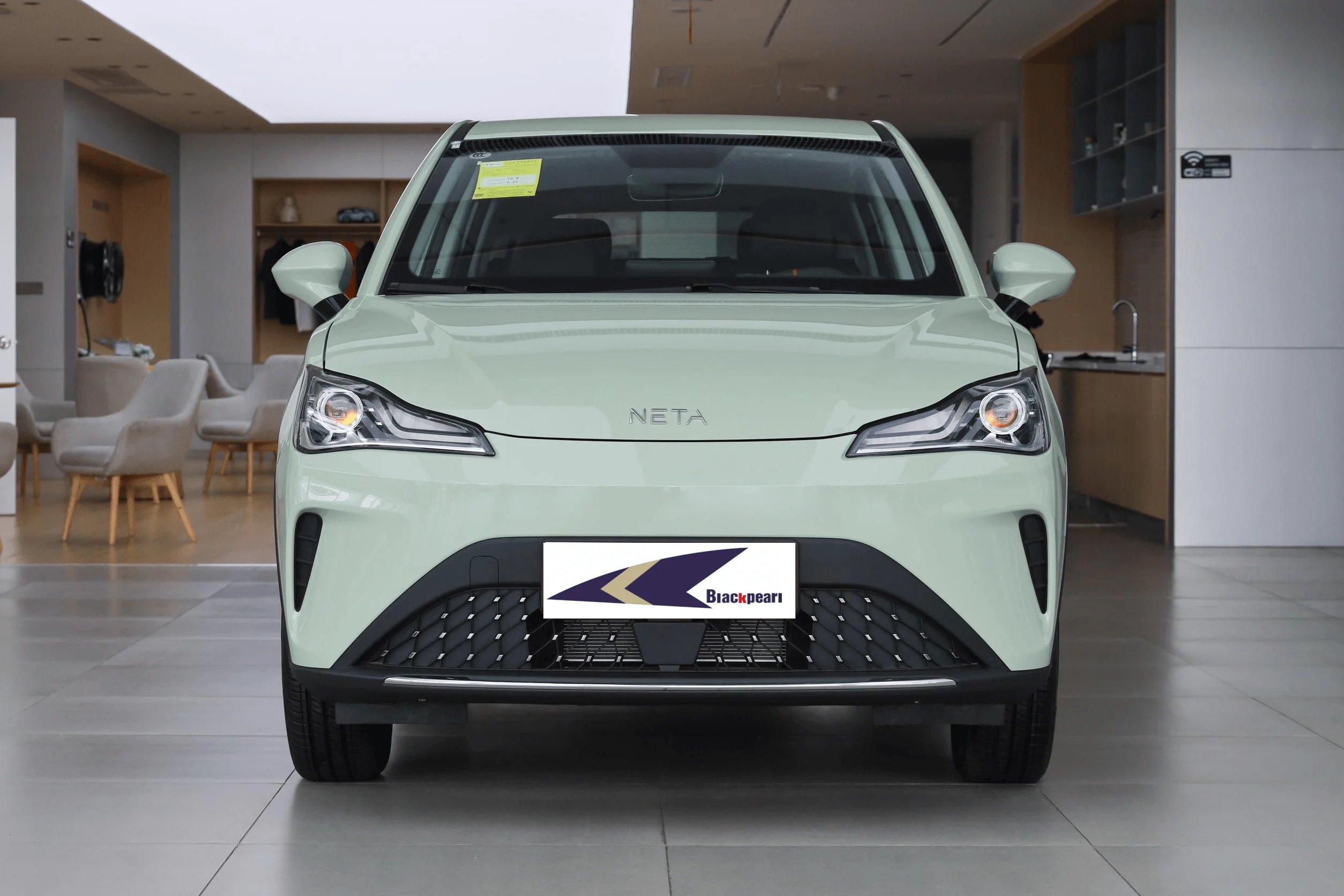Pure Neta Ev Car China RHD Neta AYA Electric Car Right Hand Drive Ev Cars New Energy Vehicles SUV