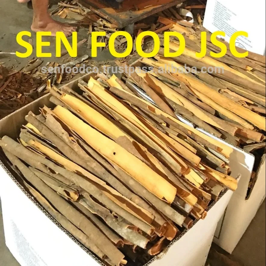 
Best quality SPLIT CASSIA FROM VIETNAM Whatsapp: +84 934 449 569 