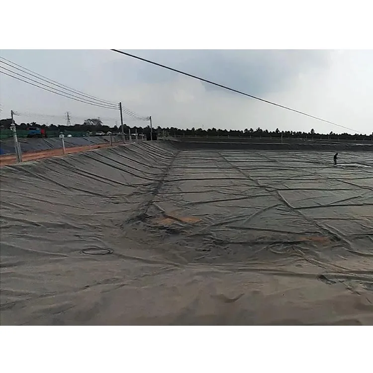 ASTM 100% чистый HDPE Полиэтилен высокой плотности геомембрана пластиковый лист пруда проекта Южная Африка