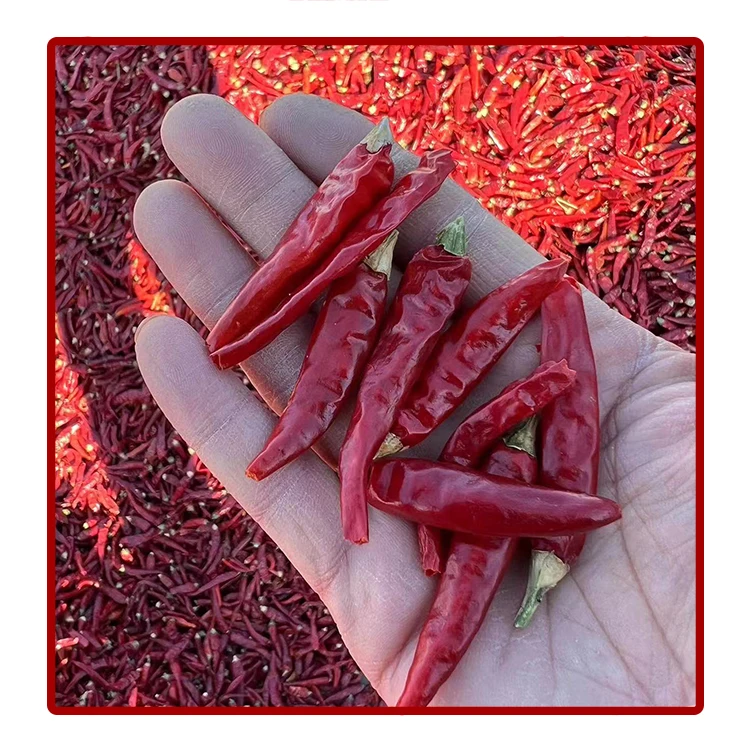 High Quality and Cheap Spice Dried Chili Powder Famous in European and American market