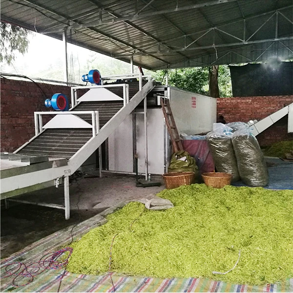 Continuous Conveyor Tunnel Type Cassava Mesh Belt Dryer Drying Oven Food & Beverage Factory Food Processing Free Spare Parts