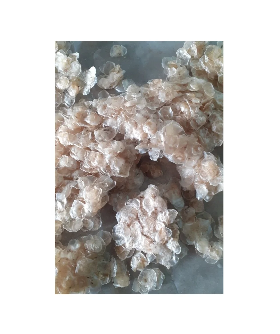 Fish scale ossein/Dried Decalcified fish scales/Dried snapper fish scales collagen (Ms. Sandy)