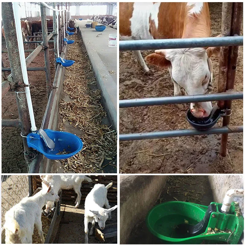 low price Animal farm plastic automatic cow drinking bowl for cow house drinker