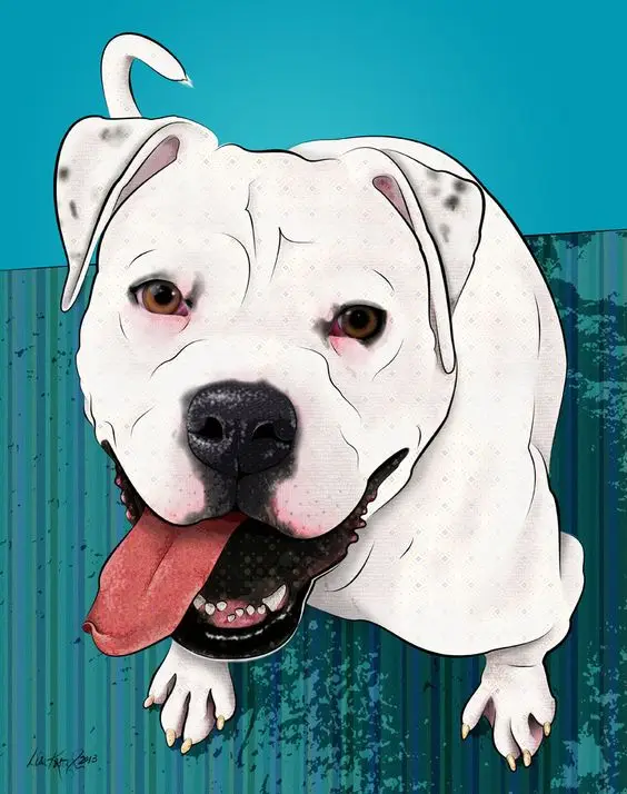  Other paintings can be customized picture wall art hand-painted animal portrait oil painting