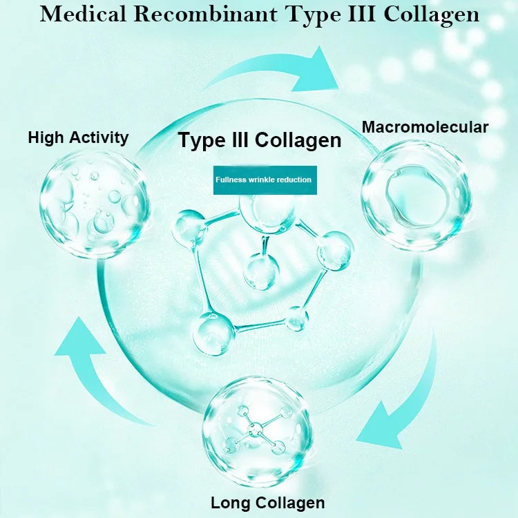 Recombinant Humanizing Collagen Booster Gel Anti-aging Brightening Medical Skincare Facial Serum for All Skin Types No hormones