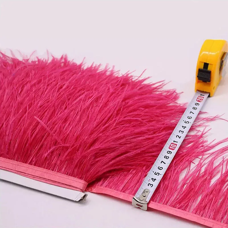 Silver Grey Ostrich Feather Trim Ruban Plume