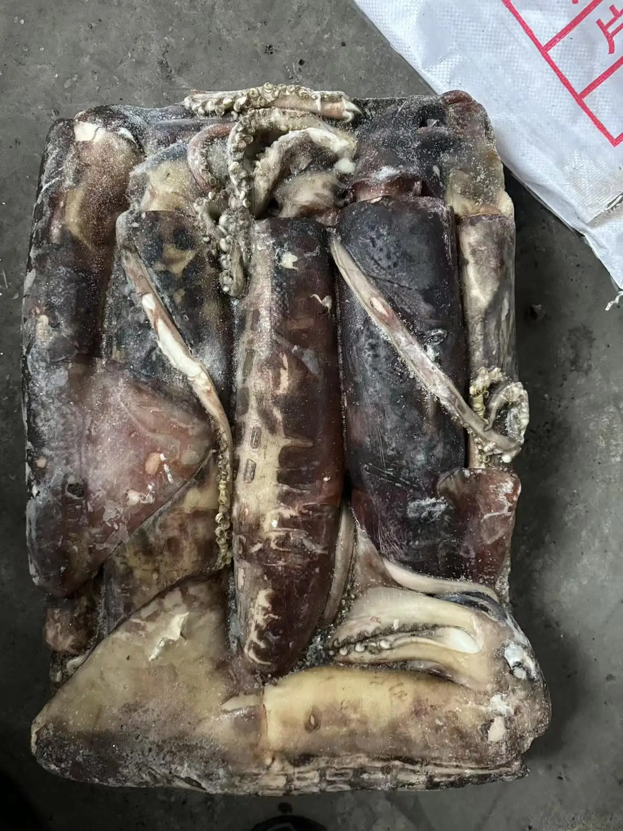 Wholesale Woven Bag Whole Round Peru Squid Dosidicus Gigas Frozen Giant Squid