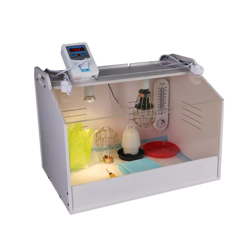 Ebay hot selling Automatic chicken machine High Quality Heating Raise Chicks Bird Pet Brood Box