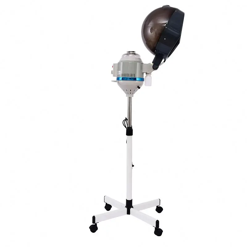 Hair Salon Spa Professional Hairdressing Stand Hood Dryer Wall Mounted Professional Hair Steamer