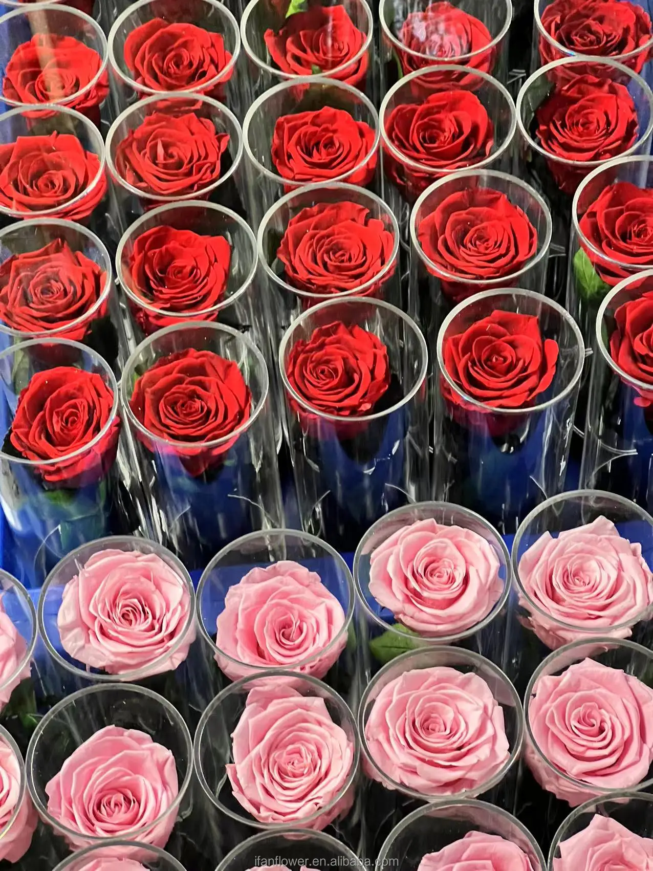 Green environmental flowers	Natural Flowers Preserved rose head +DIY handmade+Decoration flowers