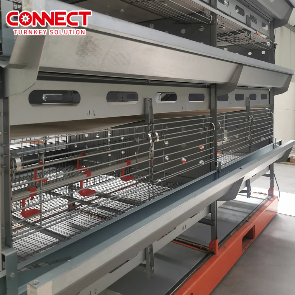 3 4 5 6 8 Tiers Full automatic broiler Battery Cages Farming  H-type poultry  pondeuse chicken feed system for 50000 Chicks