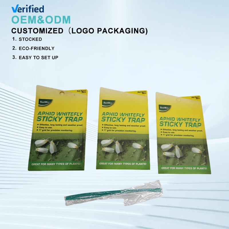 Best Selling Strong Flies Traps Bugs Sticky Board Catching Aphid Insects Killer sticky fly trap