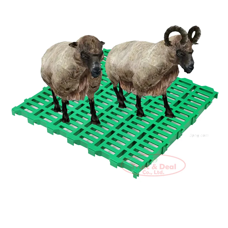 2023 sheep farm plastic slatted flooring middle east hot sale plastic goat slat floor for goat farm shed