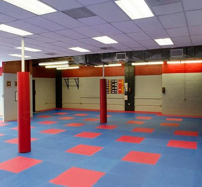 Judo 100x100CM Mats Ejercicios Martial Arts Wrestling Interlocking Eva Puzzle 3cm Floor Judo Mats Tatami