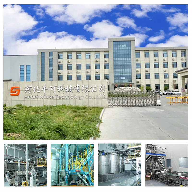 Factory Direct Sale Healthy Grain-Free Dog Food Top Breed Adult Puppy and Mini Medium Large Breed Dry Pet Food OEM ODM