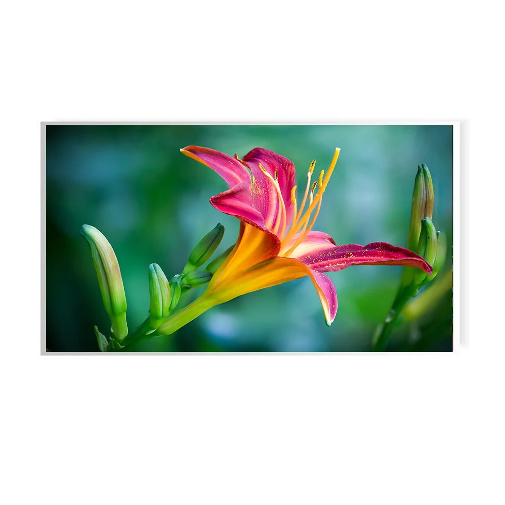 1920x1080 IPS ЖК-измеритель температуры, экран дисплея для автомобиля, самый популярный 13,3 дюймов EDP и IPS 13,3 дюймов 700 300-1000 нит