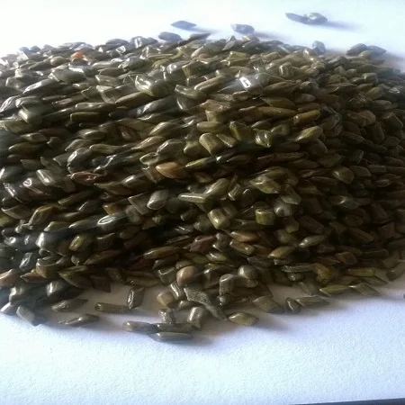 Качественные семена кассии тора