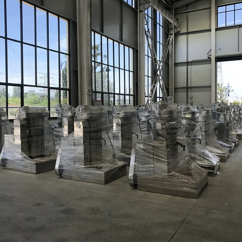 Palm Kernel Castor Avocado Moringa Seed Sunflower Cold Oil Press Machine Commercial small coconut oil extraction machine sale
